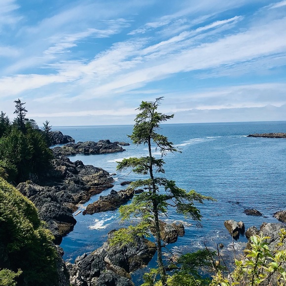 Meet your Posher, Laura - Picture 1 of 1